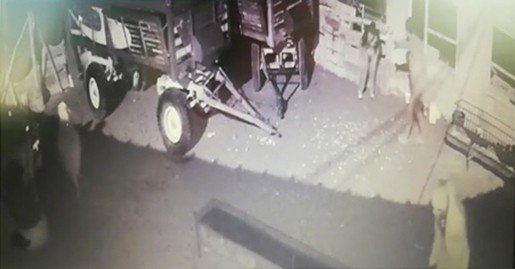 Sakar hırsızlar böyle görüntülendi