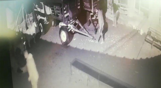 Sakar hırsızlar böyle görüntülendi