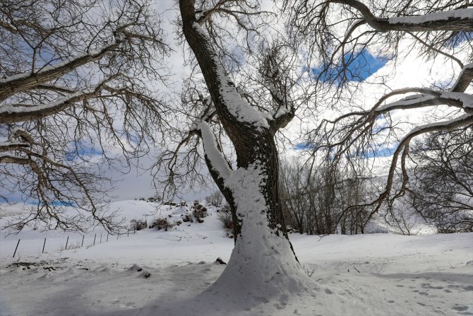 Doğu Anadolu'da dondurucu soğuklar etkisini sürdürüyor