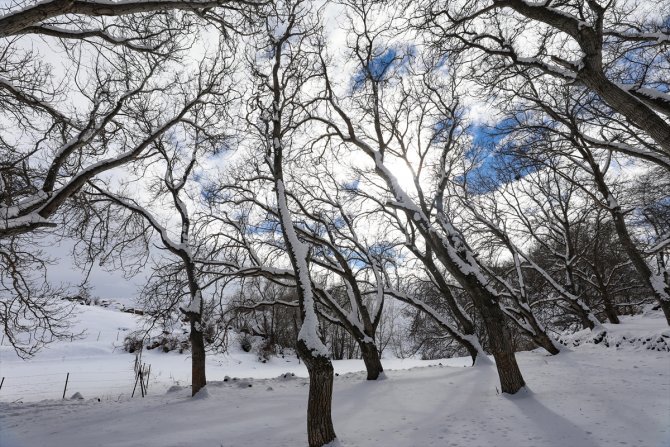 Doğu Anadolu'da dondurucu soğuklar etkisini sürdürüyor