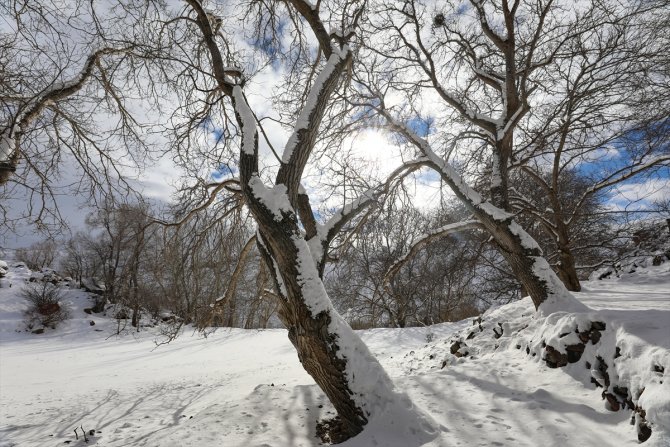 Doğu Anadolu'da dondurucu soğuklar etkisini sürdürüyor