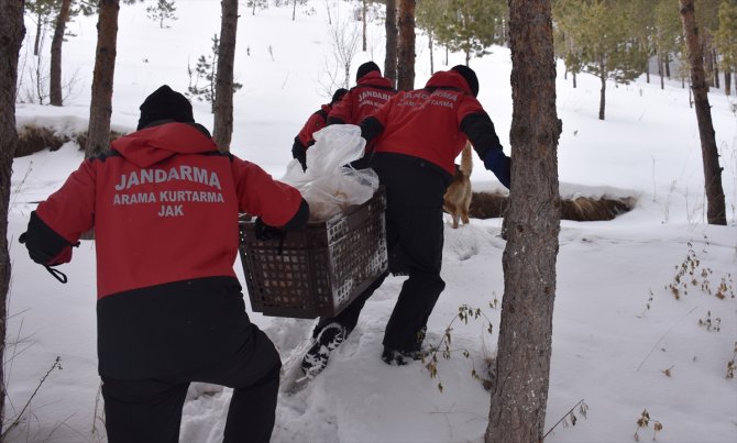 JAK timleri sokak ve yaban hayvanlarının da yardımına koşuyor