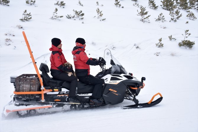 JAK timleri sokak ve yaban hayvanlarının da yardımına koşuyor