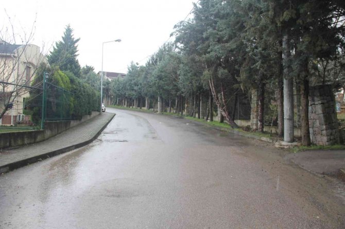 Göz göre göre köpeği ezmişti, o sürücü yakalandı