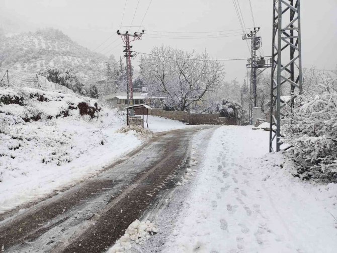 Hatay’da kar yağışı nedeniyle ahır çöktü, 10 hayvan telef oldu