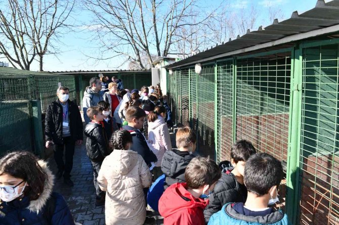 Miniklerden sokak hayvanlarına anlamlı destek