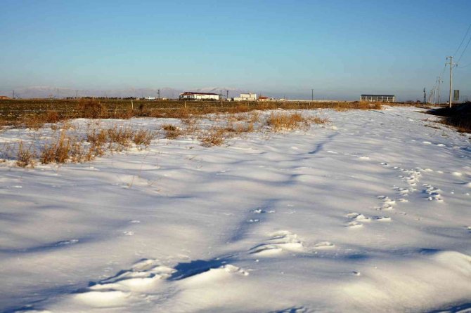 Yağışlar yüz güldürüyor, rekolte artışı bekleniyor
