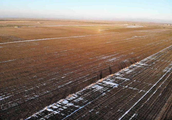 Yağışlar yüz güldürüyor, rekolte artışı bekleniyor