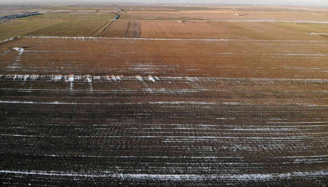 Yağışlar yüz güldürüyor, rekolte artışı bekleniyor