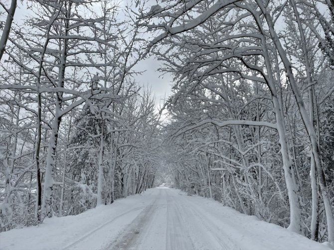 Kar nedeniyle 2 çatı çöktü, yollarda ulaşım aksadı
