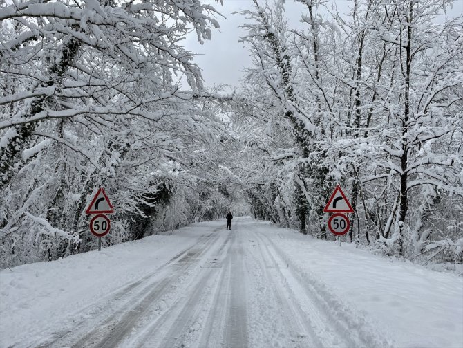 Kar nedeniyle 2 çatı çöktü, yollarda ulaşım aksadı