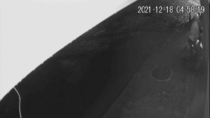 Kuyumcunun camını tabancayla kırıp 200 bin liralık altın çaldılar