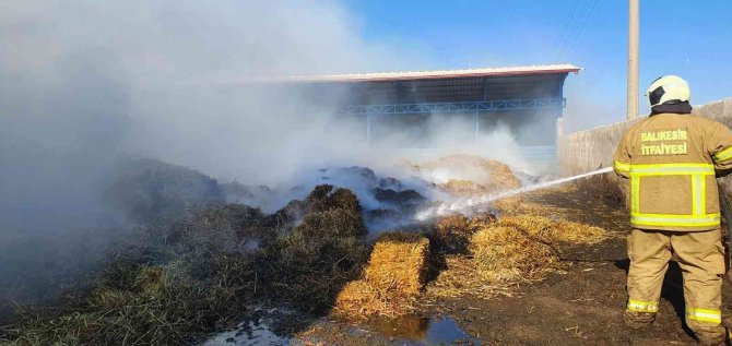 8 bin balya saman kül oldu