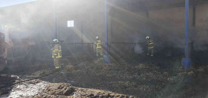 8 bin balya saman kül oldu