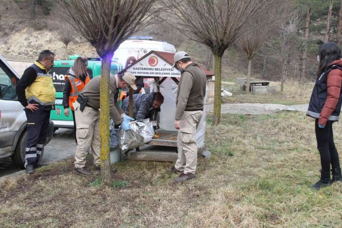 HAYDİ ekipleri, soğuk kış gününde sokak hayvanlarını yalnız bırakmadı