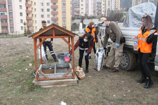 HAYDİ ekipleri, soğuk kış gününde sokak hayvanlarını yalnız bırakmadı