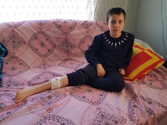 Sokak Köpekleri bir çocuğa daha saldırdı