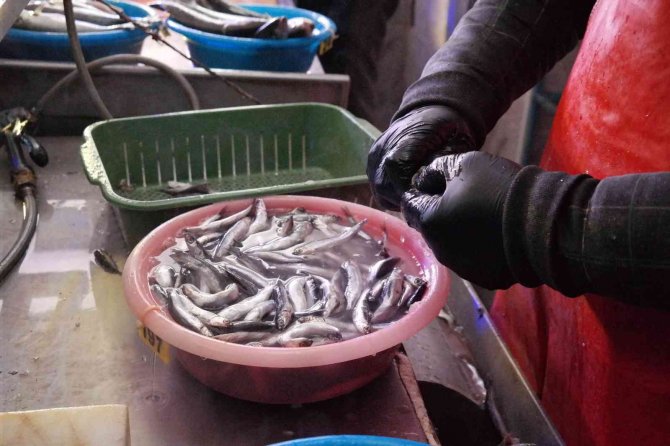 Suyun buz tuttuğu derecede ekmek kavgası