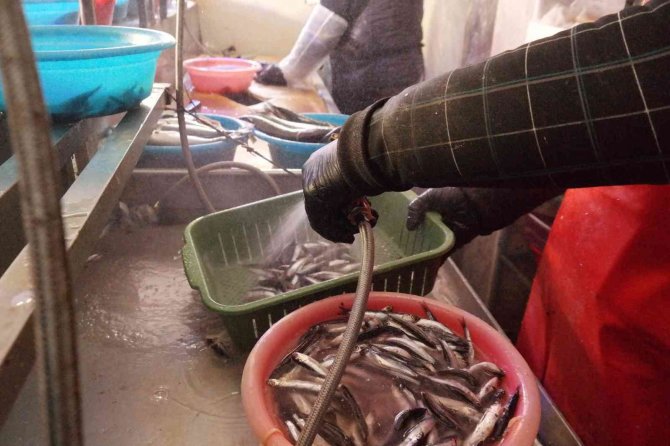 Suyun buz tuttuğu derecede ekmek kavgası