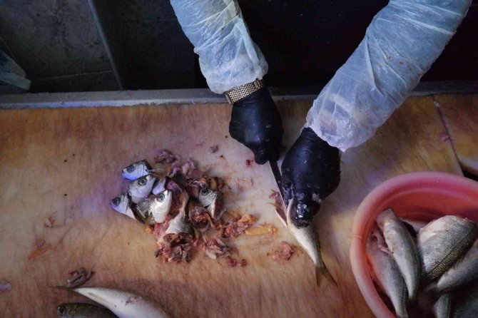 Suyun buz tuttuğu derecede ekmek kavgası