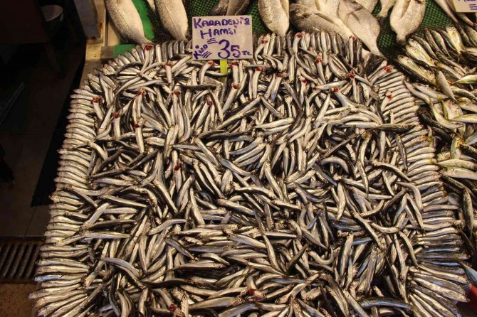 Dün 50 liraydı, bugün 35’e düştü