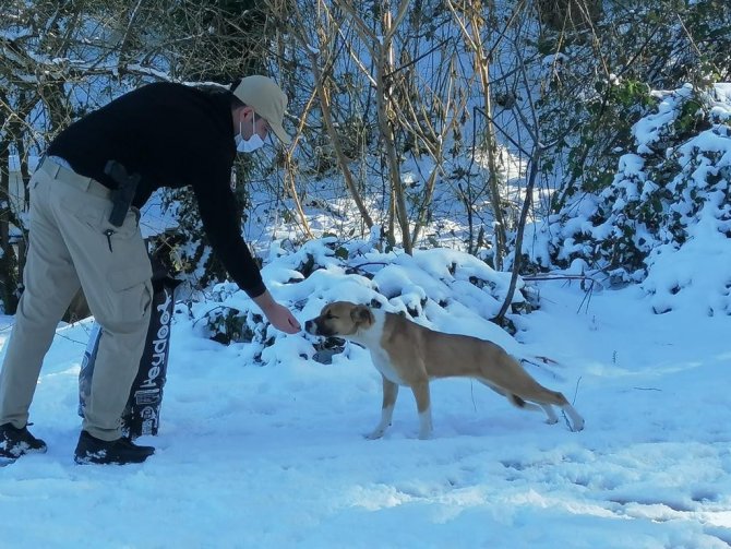 HAYDİ ekipleri sokaktaki canları unutmadı