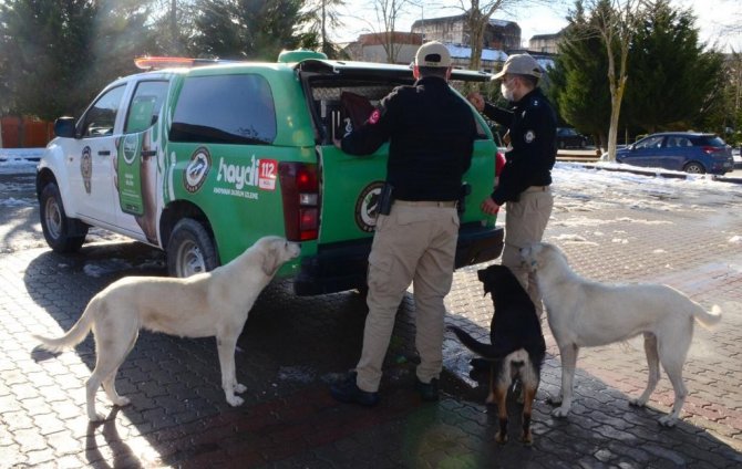 HAYDİ ekipleri sokaktaki canları unutmadı