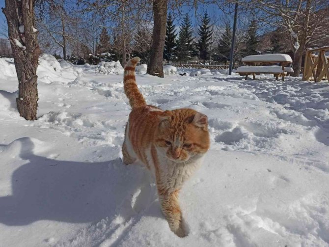 Konya’da kar manzaraları kartpostallık görüntüler oluşturuyor