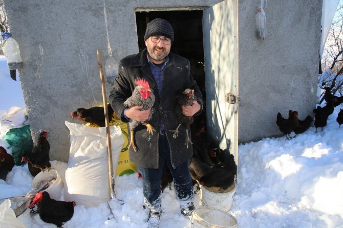 Tavukları telef olmaktan ekipler kurtardı