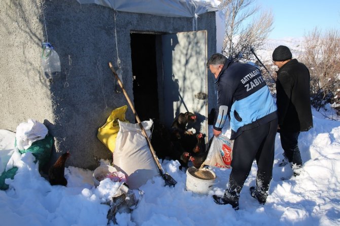 Tavukları telef olmaktan ekipler kurtardı