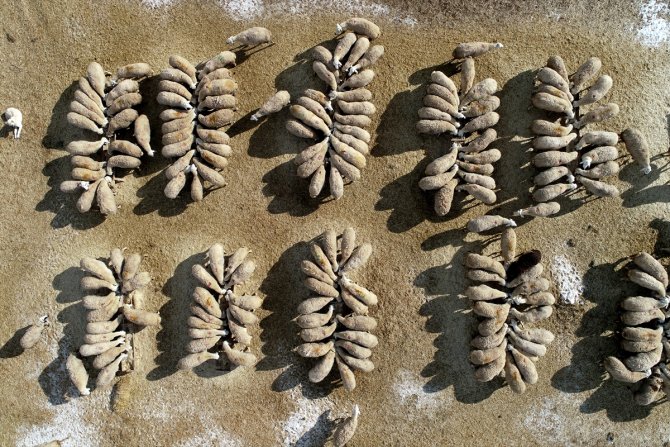 Konya'da kar yağışı çiftçiler kadar besicileri de sevindirdi