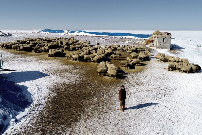 Konya'da kar yağışı çiftçiler kadar besicileri de sevindirdi