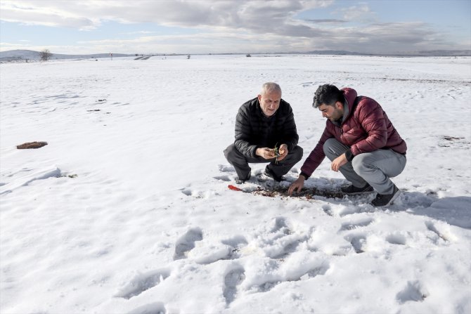 Konya'da kar yağışı çiftçiler kadar besicileri de sevindirdi