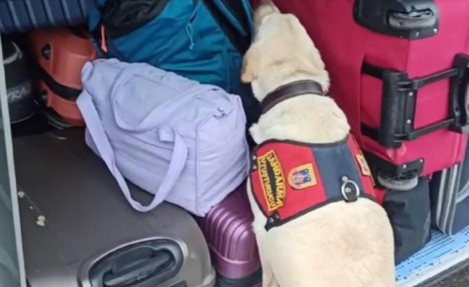 Jandarma 70 litre sahte içki ele geçirdi