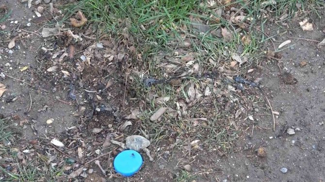 Dezenfektan faciasında 13 yaşındaki çocuğa 12 yıl hapis talebi