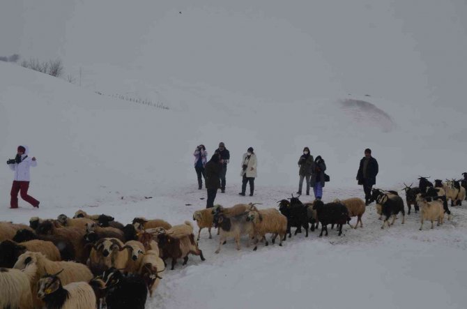 Fotoğraf sanatçıları kışın güzelliklerini fotoğrafladı