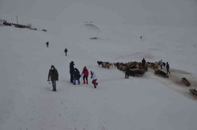 Fotoğraf sanatçıları kışın güzelliklerini fotoğrafladı