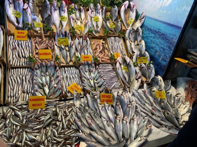 Geçtiğimiz günlerde boş kalan balık tezgahlarında bolluk başladı