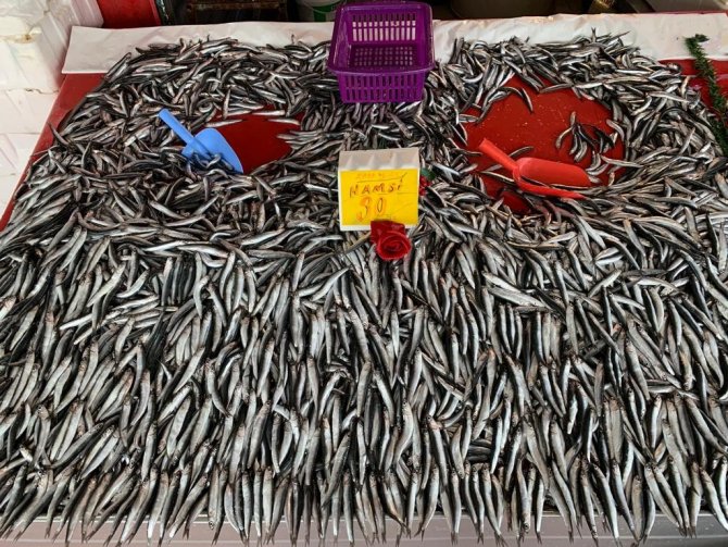 Geçtiğimiz günlerde boş kalan balık tezgahlarında bolluk başladı