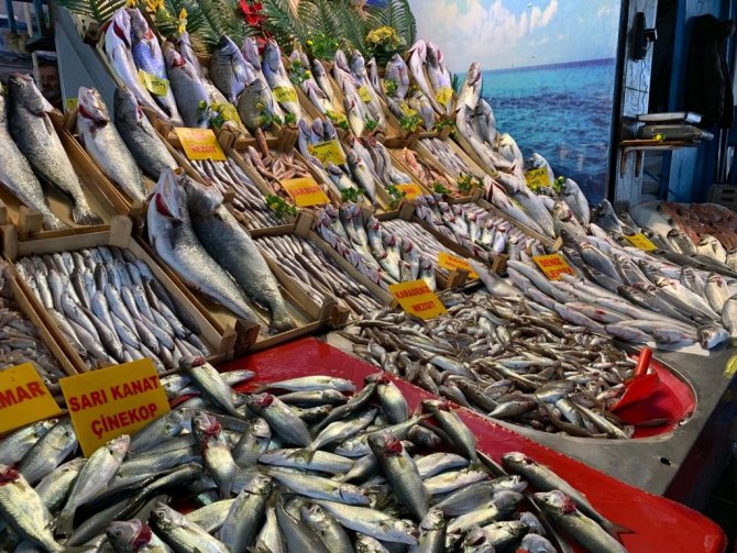 Geçtiğimiz günlerde boş kalan balık tezgahlarında bolluk başladı