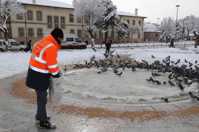 Konya Büyükşehir ağır kış şartlarında sahipsiz hayvanların da yanında