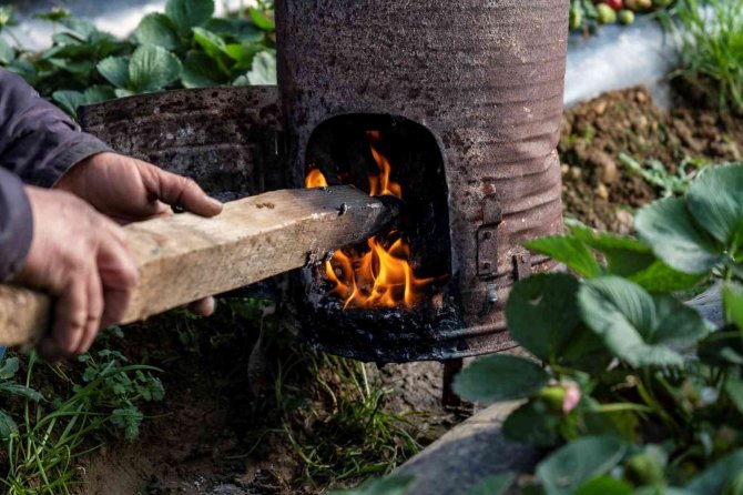 Çilek seralarında don tehlikesine karşı sobalı önlem