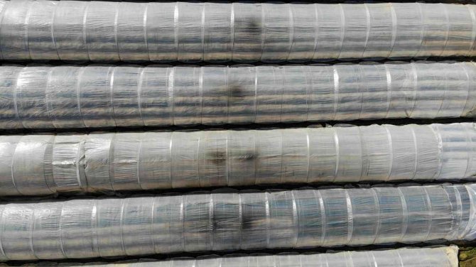 Çilek seralarında don tehlikesine karşı sobalı önlem