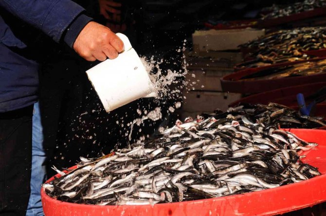 Fiyat artışları vatandaşı balığa yöneltti
