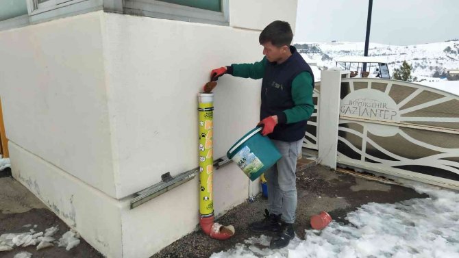 Gaziantep’te karakışta sokak hayvanları unutulmadı
