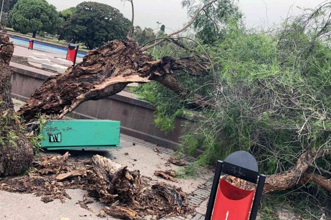 İzmir İtfaiyesi 11 bin 718 yangınla mücadele etti