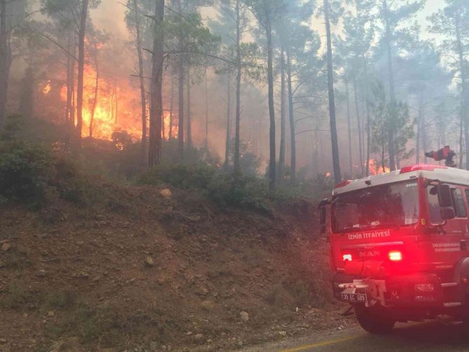 İzmir İtfaiyesi 11 bin 718 yangınla mücadele etti