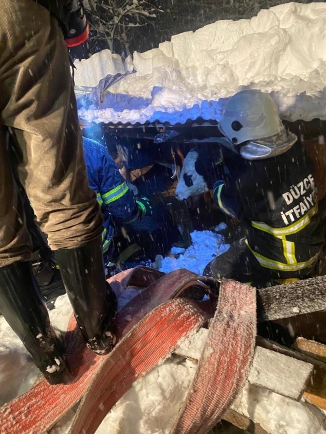 Kar yağışından ahır çöktü, itfaiye yardıma koştu