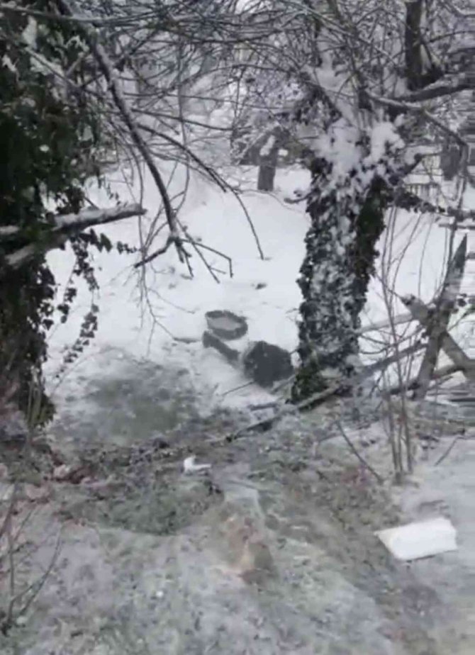 Kayarken 4 metre havalanarak ağaca böyle çarptı