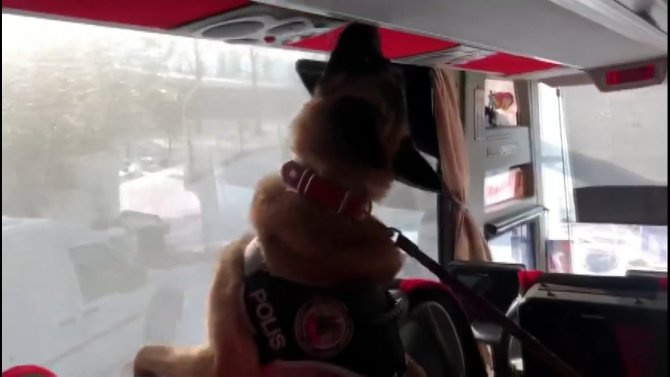 TEM’de yolcu otobüsünde 98 kilo uyuşturucu ele geçirildi